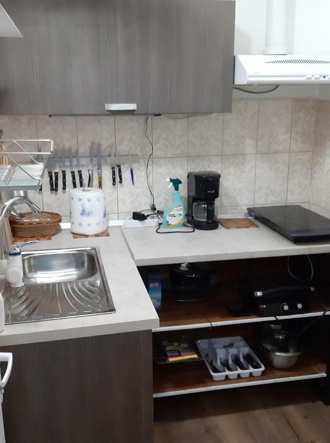 Apartament 2 Camere スリナ エクステリア 写真